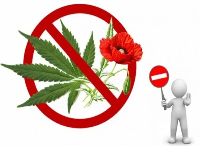 фото для сайта